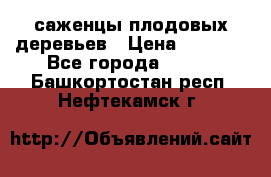 саженцы плодовых деревьев › Цена ­ 6 080 - Все города  »    . Башкортостан респ.,Нефтекамск г.